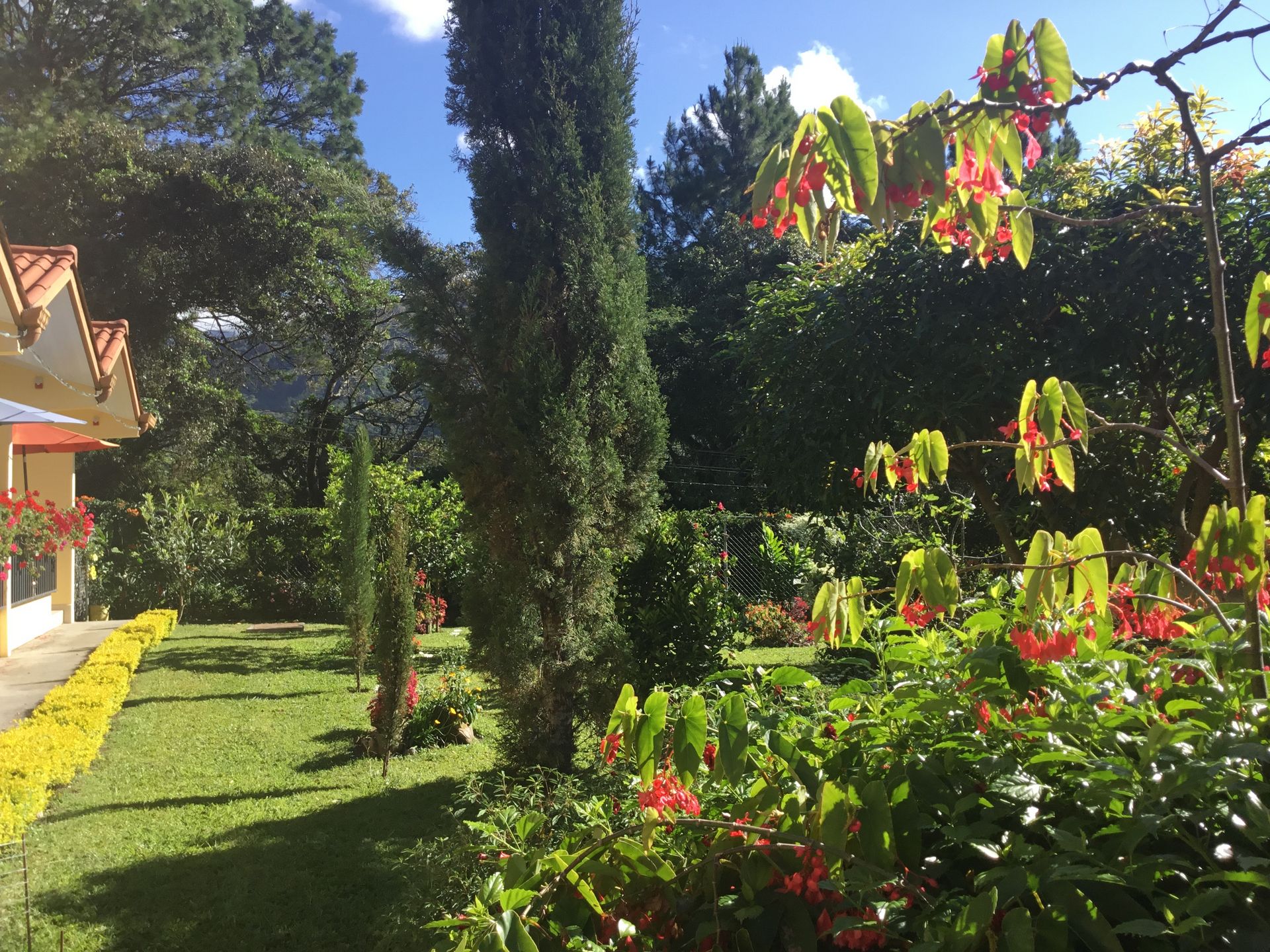 The Garden of Aparthotel Boquete