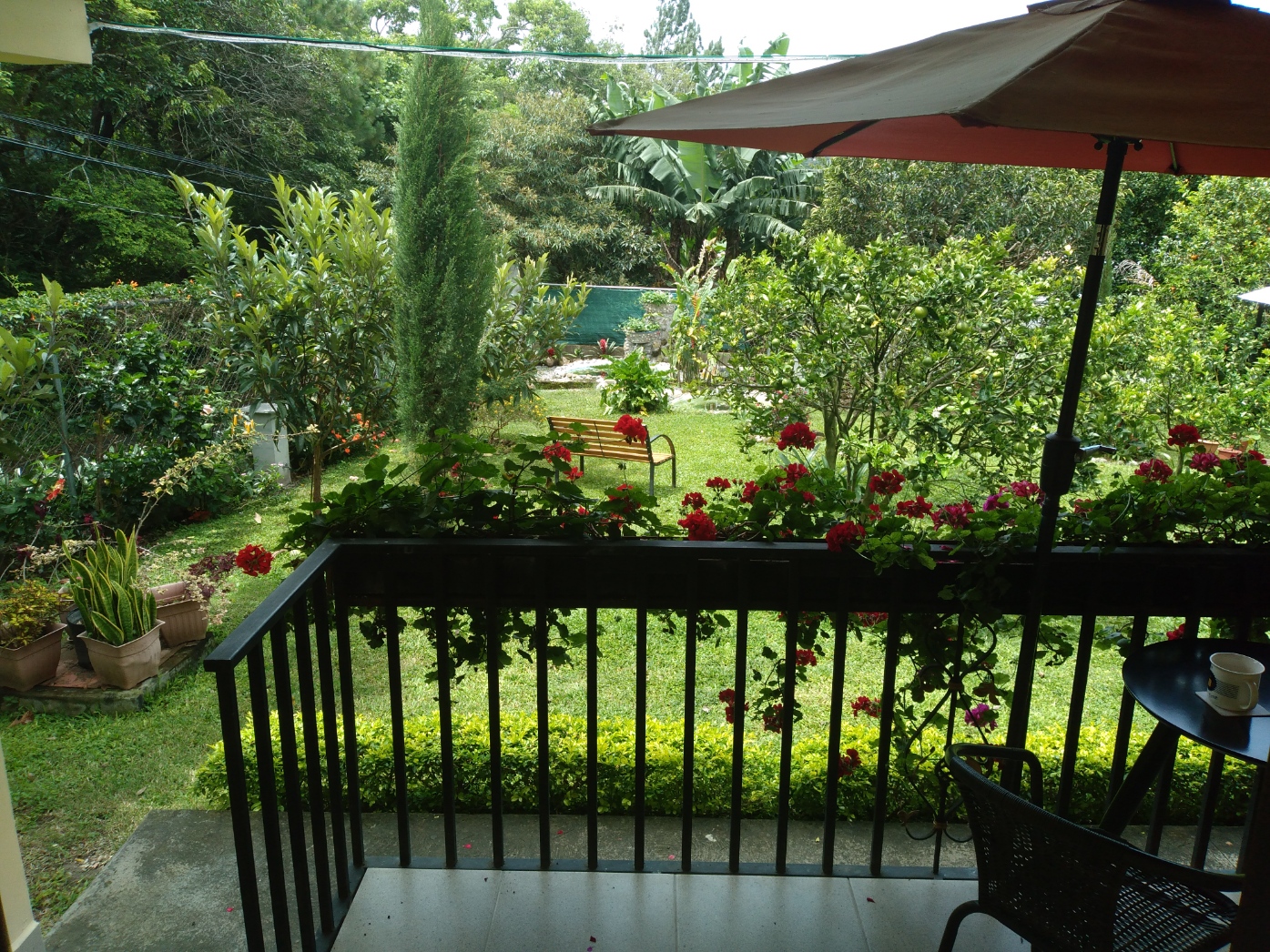 view to the garden from a terrace