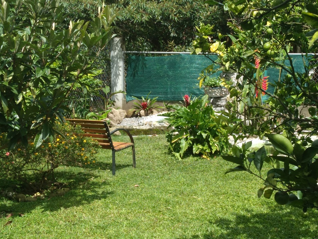 a bank in the garden near the fish ponds