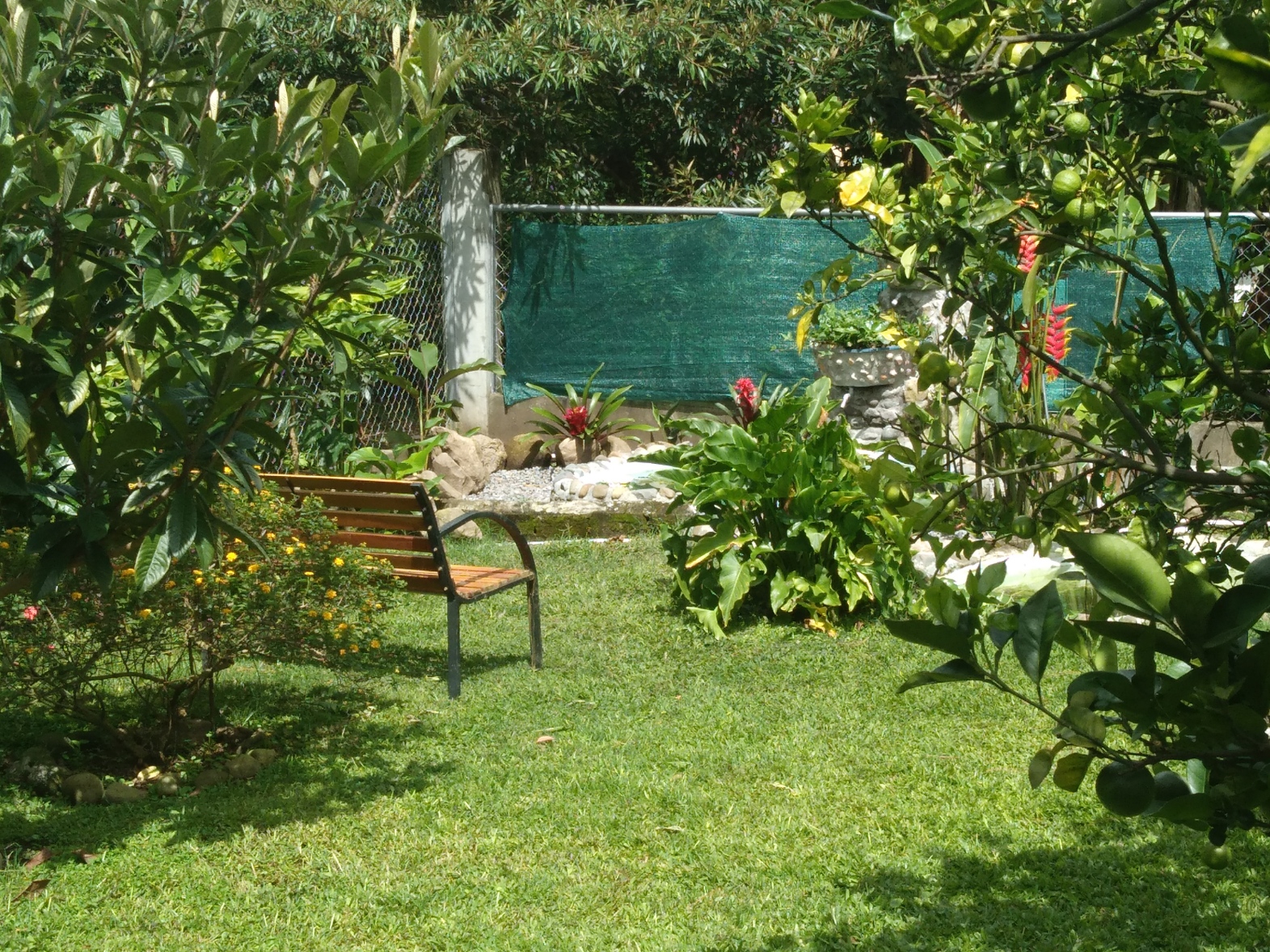 A bank in the garden near the fish ponds