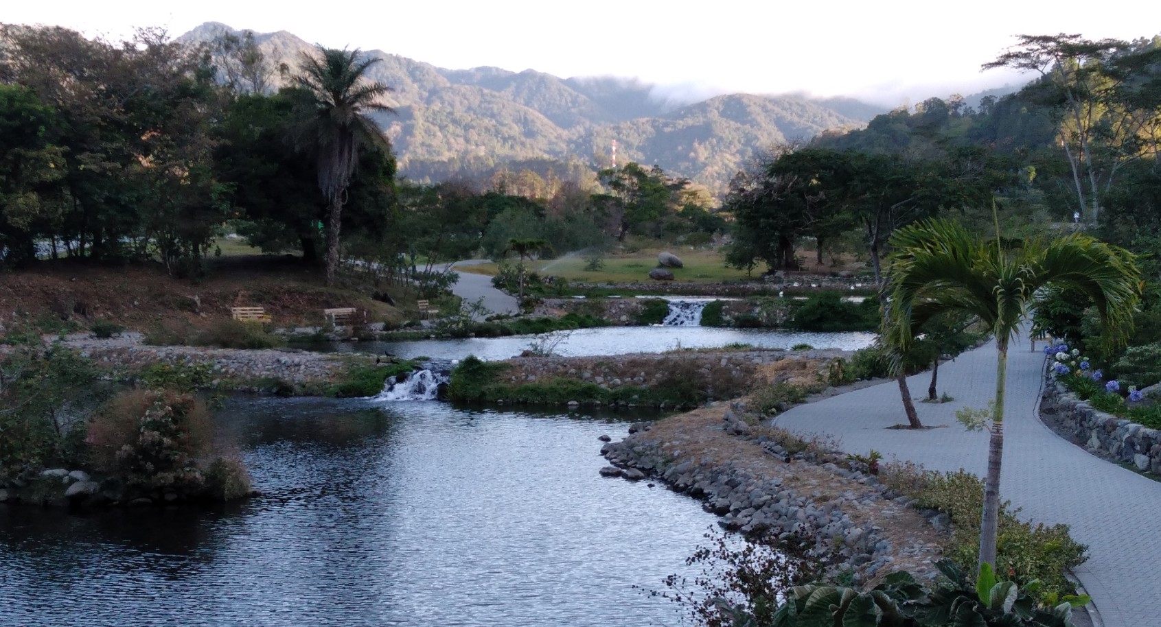 A morning walk through the park