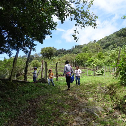 people walking on green fields