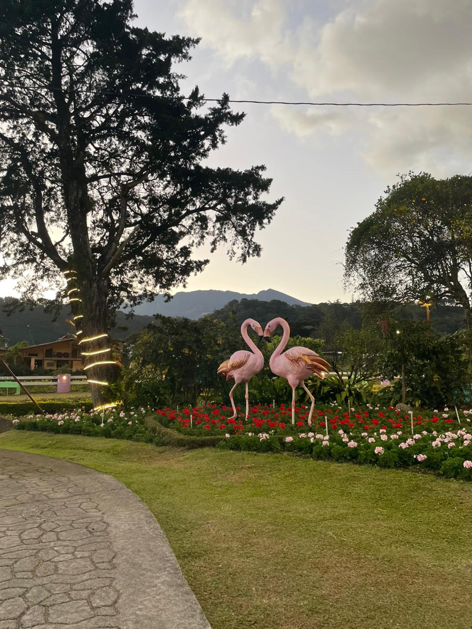 Flamingo statues at Boquete Feria del Café y de las Flores 2023